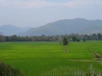 post-137105-0-32435100-1396366486_thumb.