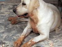 post-146250-0-87629900-1398144582_thumb.