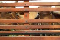 post-151649-0-53898600-1397518807_thumb.