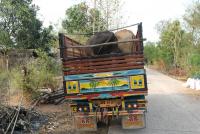 post-151649-0-84182700-1397518775_thumb.