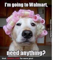 post-15958-0-33771500-1397126717_thumb.j