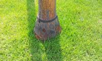 post-163537-0-20637400-1397616060_thumb.