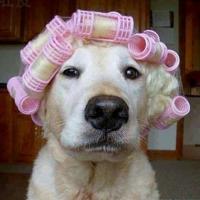 post-175700-0-29281600-1398834721_thumb.