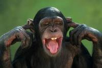 post-175700-0-68249700-1398678618_thumb.