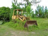 post-175700-0-72506500-1398321596_thumb.