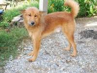 post-175700-0-80270800-1398483650_thumb.