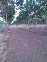 post-181185-0-77909000-1397298649_thumb.