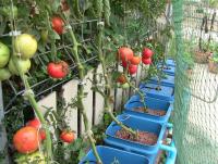 post-184243-0-51248400-1397042407_thumb.