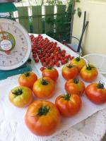 post-184243-0-59141000-1397042749_thumb.