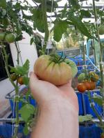 post-184243-0-93367500-1397042750_thumb.