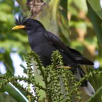 post-20874-0-13135900-1397959840_thumb.j