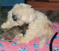 post-35489-0-51291900-1397142910_thumb.j