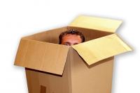 gayinabox.jpg