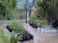 post-37242-0-09500400-1397416688_thumb.j