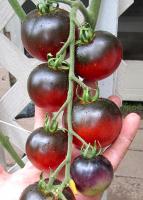 post-37242-0-13264300-1397416504_thumb.j