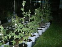 post-37242-0-16720800-1397978015_thumb.j