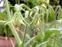 post-37242-0-44996400-1397977966_thumb.j