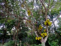 post-37242-0-47246100-1397810453_thumb.j