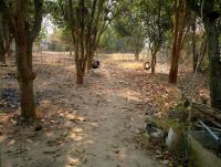 post-37242-0-49731400-1398761594_thumb.j