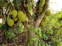 post-37242-0-50027100-1397810338_thumb.j