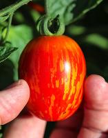 post-37242-0-70035200-1397416552_thumb.j