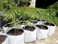 post-37242-0-74515600-1397416626_thumb.j