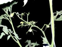 post-37242-0-93648200-1397977937_thumb.j