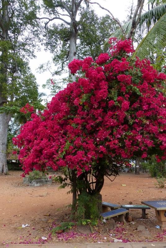 post-102759-0-56611600-1428715774_thumb.