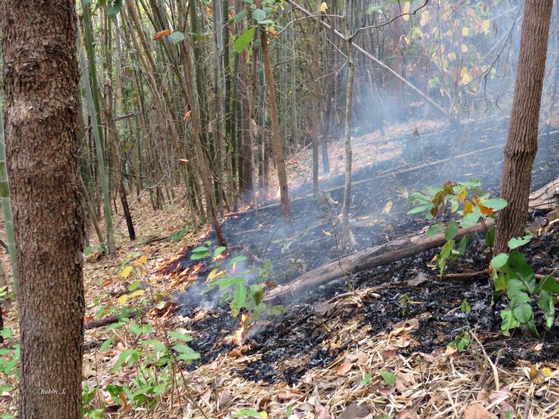 post-12069-0-11019700-1428914320_thumb.j