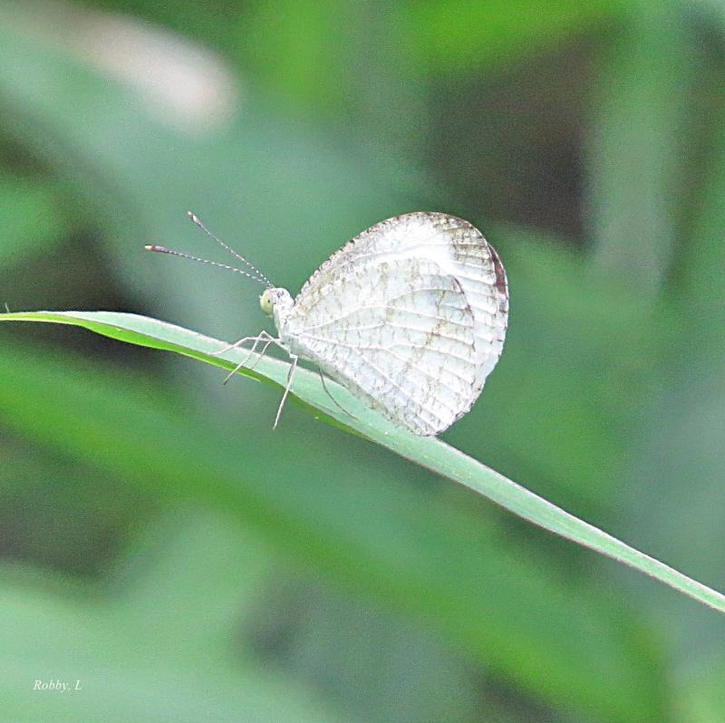 post-12069-0-49570600-1428547010_thumb.j