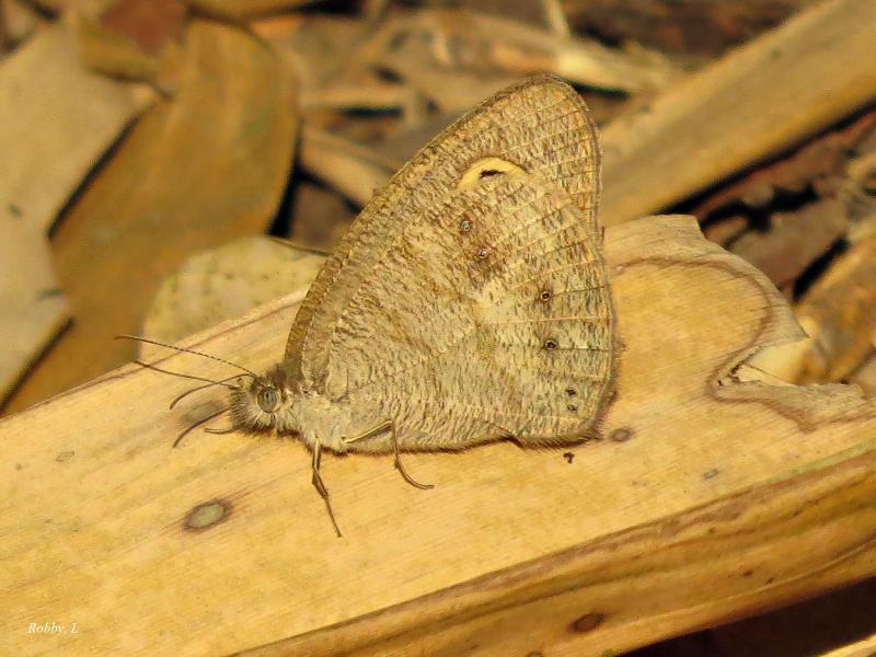 post-12069-0-85618900-1429095155_thumb.j