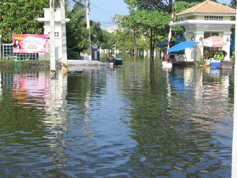 post-15216-0-97316200-1428236947_thumb.j