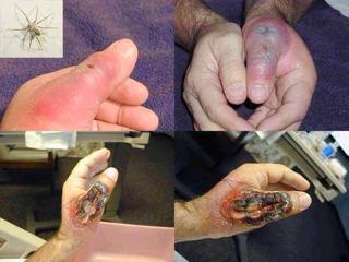 post-156212-14302813387304_thumb.jpg