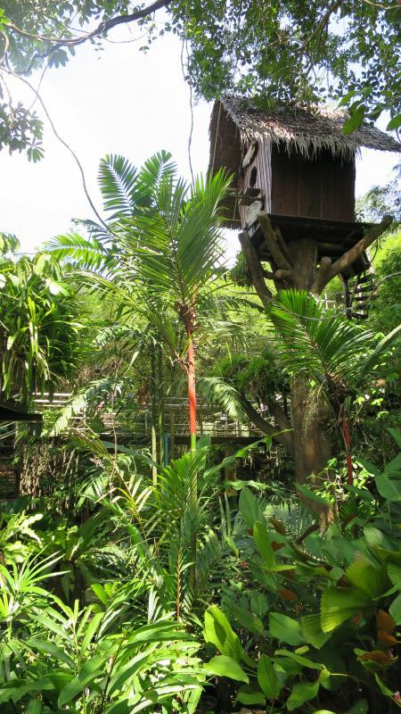 post-21581-0-82092800-1429427527_thumb.j