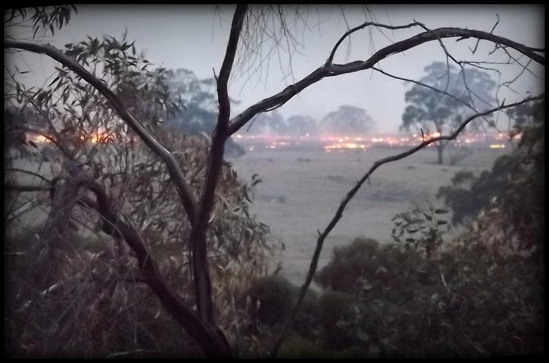 post-231841-0-03704400-1428410024_thumb.