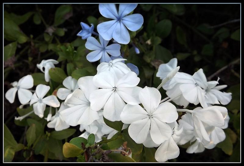 post-231841-0-04471800-1429958184_thumb.