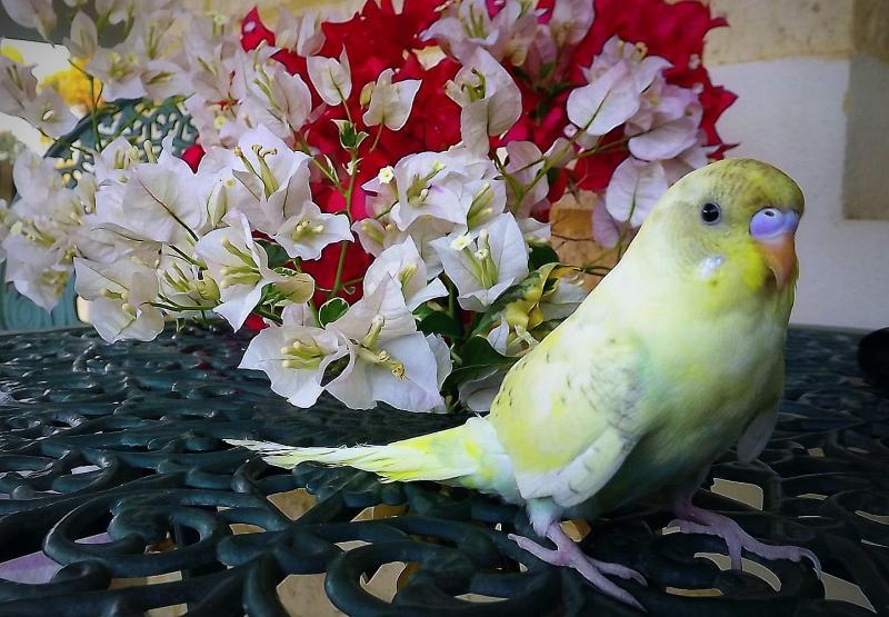 post-231841-0-05500900-1429324183_thumb.