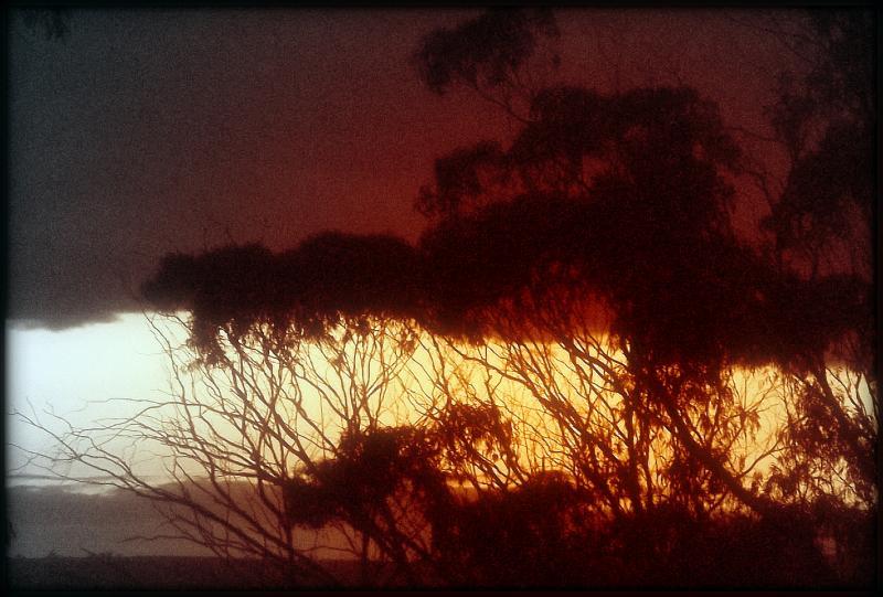 post-231841-0-11969000-1428928655_thumb.