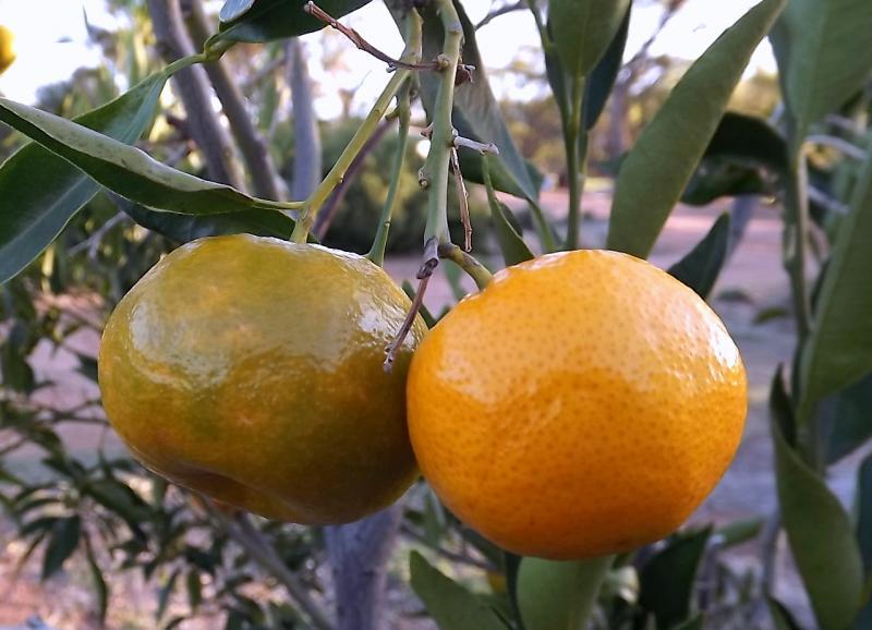 post-231841-0-12564000-1429931051_thumb.