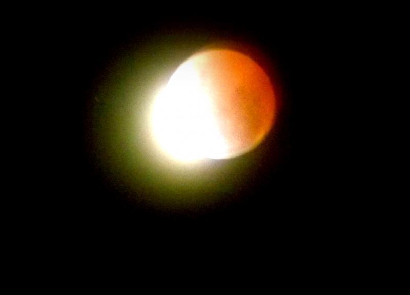 post-231841-0-14154900-1428402544_thumb.