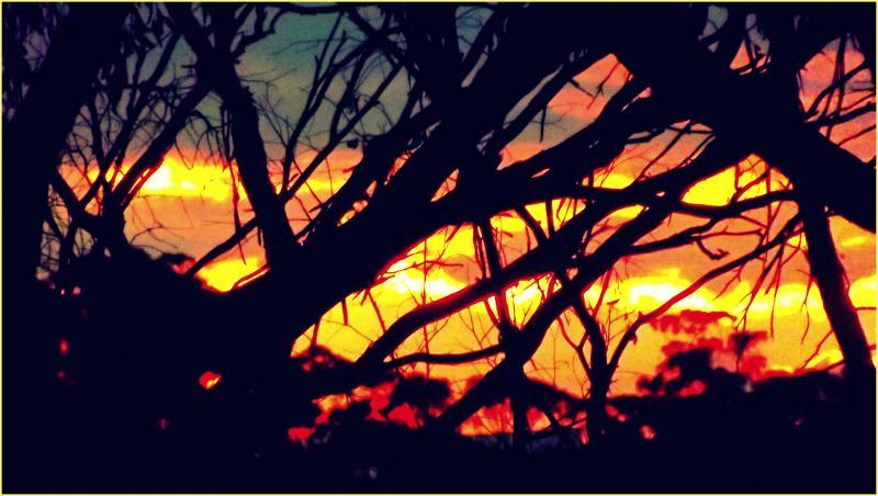 post-231841-0-23409900-1428925688_thumb.