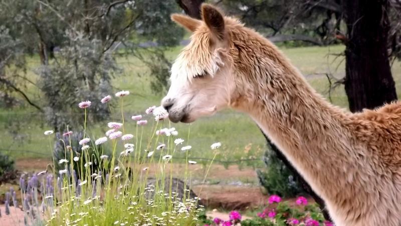 post-231841-0-29392200-1429067209_thumb.