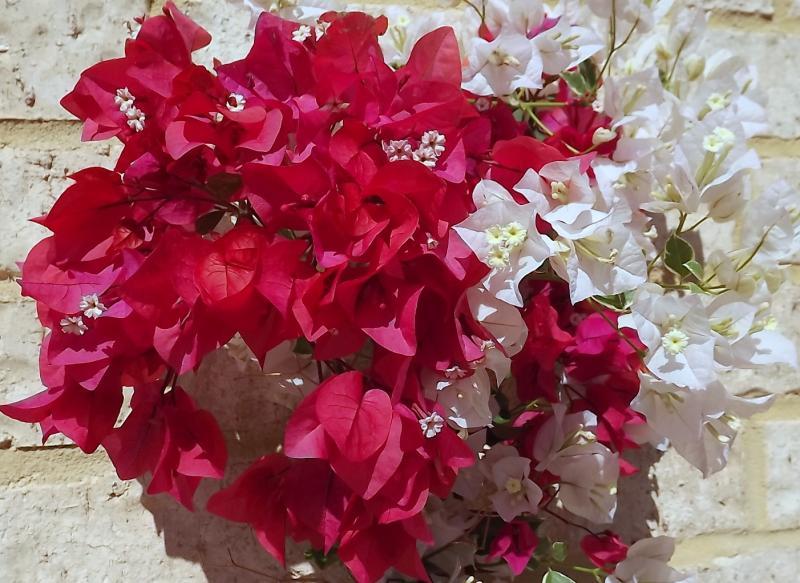 post-231841-0-31323800-1430314312_thumb.