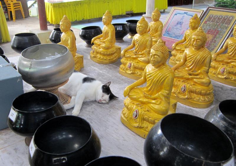 post-231841-0-33307800-1430280279_thumb.