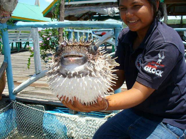 post-231841-0-33921200-1429525506_thumb.