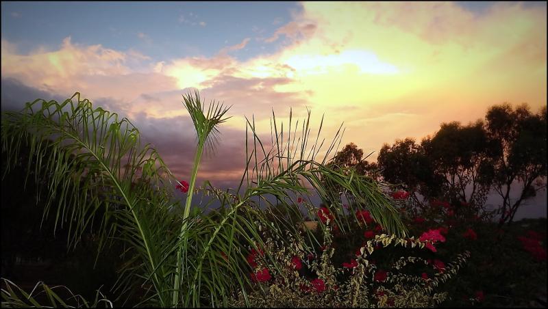 post-231841-0-36857100-1428560259_thumb.