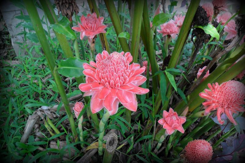 post-231841-0-37625000-1429529745_thumb.