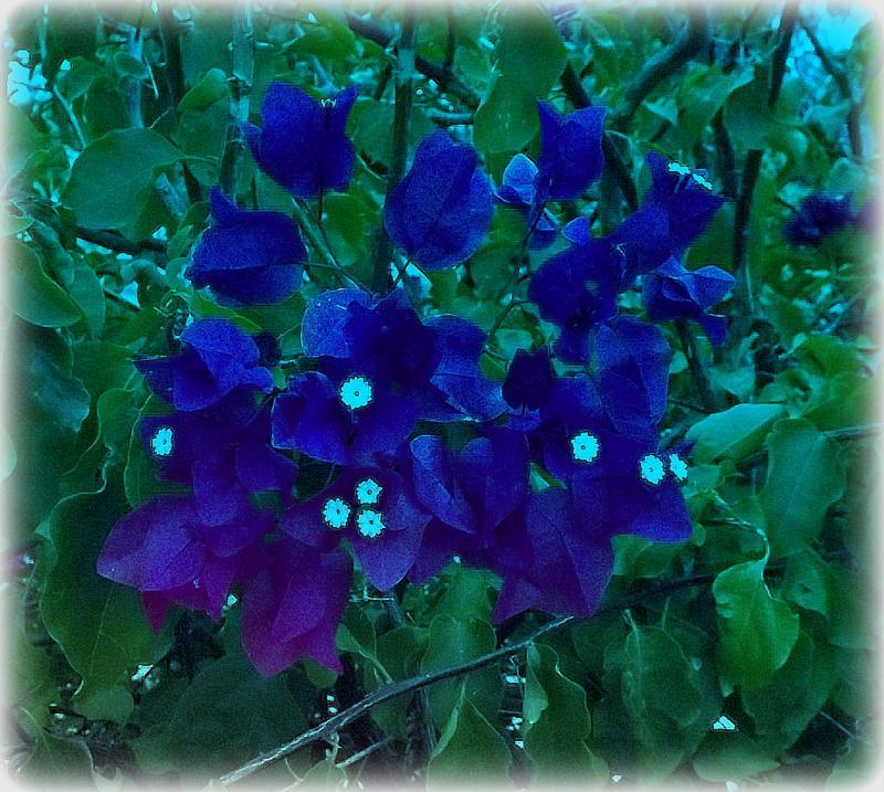 post-231841-0-40590000-1429414199_thumb.