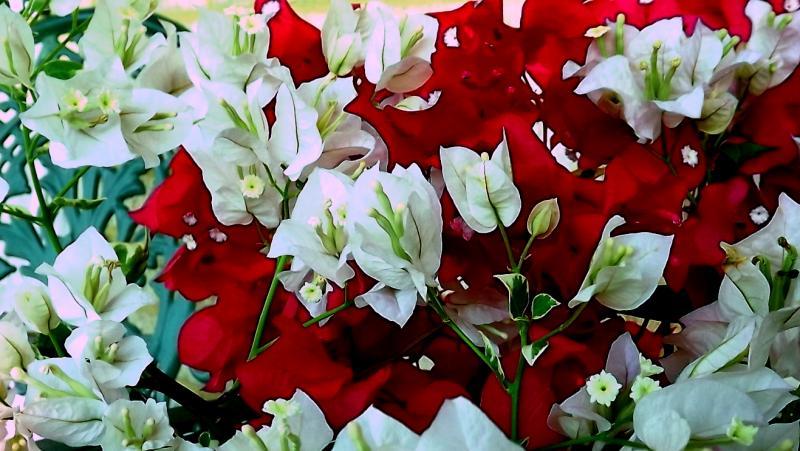 post-231841-0-42133400-1430310961_thumb.