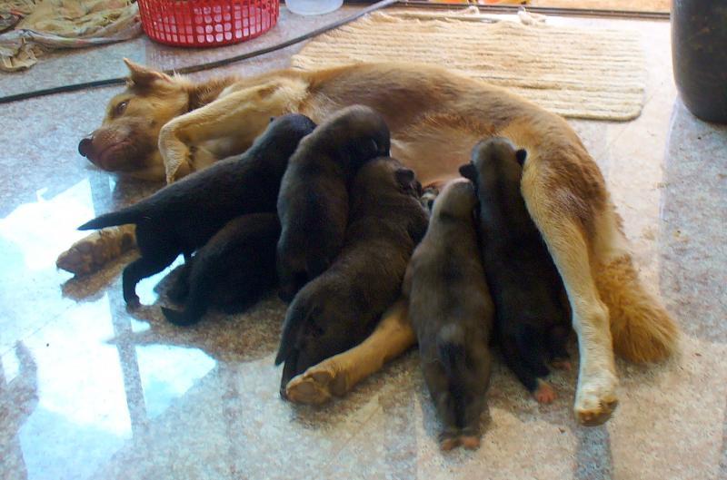 post-231841-0-44975200-1430273919_thumb.